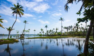 Trivandrum- Kovalam-Trivandrum