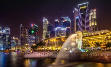 Singapore Delight