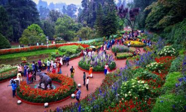 Magnificent South India***Ex. Bangalore (Mysore + Coorg + Ooty + Bangalore)