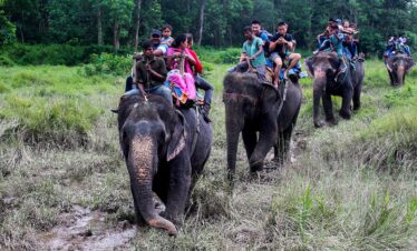Heritage Hills and Wildlife Tour (Kathmandu + Pokhara + Chitwan)