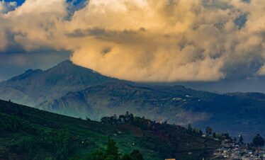 Splendour South India (Bangalore + Coorg + Ooty + Kodaikanal)