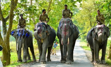 North-East Beauty (Kaziranga + Shillong)